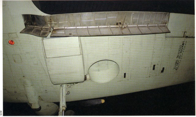 Новый рисунок.jpeg